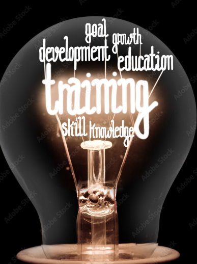 Offerta tirocini 2024/2025